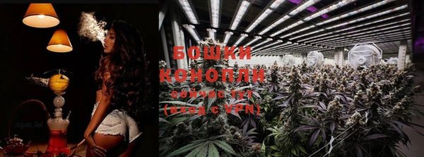 ECSTASY Корсаков