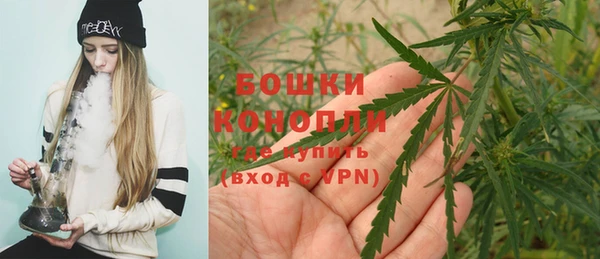 спиды Коряжма