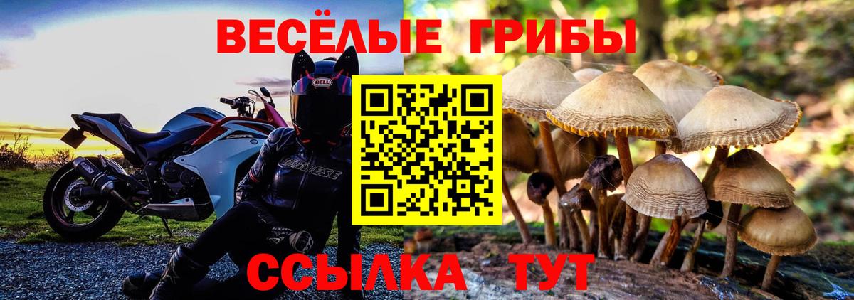 Фролово  Галлюциногенные грибы мицелий  Вход с VPN 