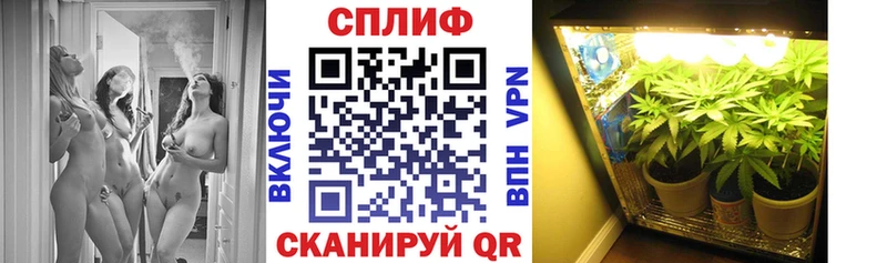 Купить закладки  Фролово  Бошки Шишки семена 